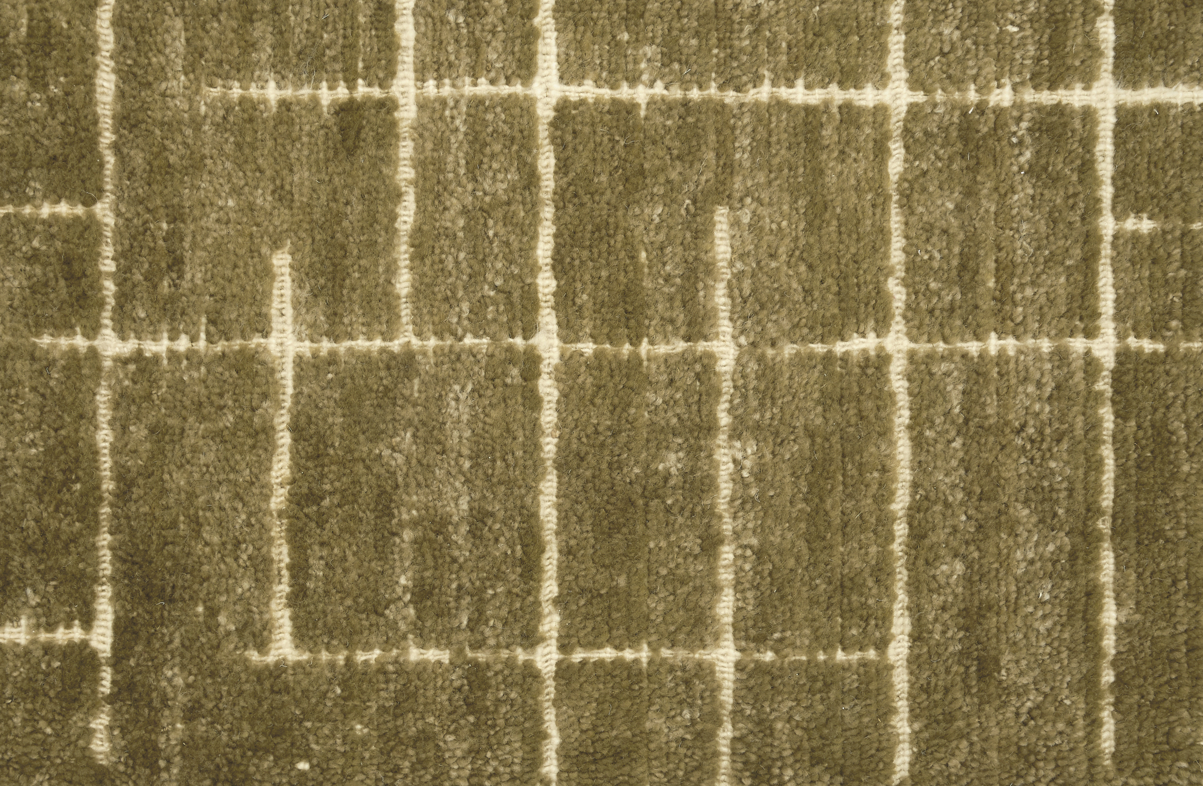 Nolira Olive
